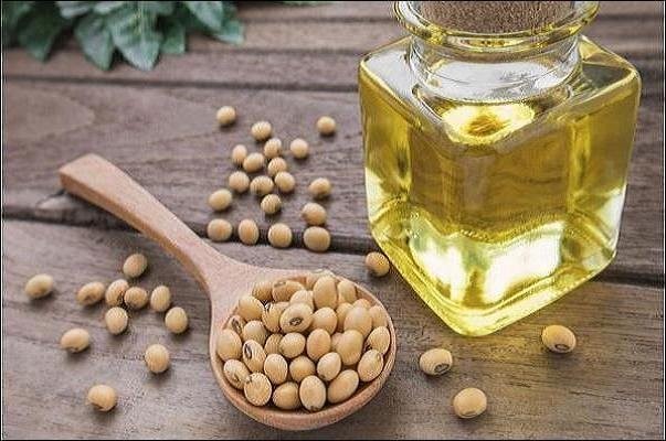 اگنا-روغن-رستوران-تراریخته